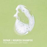 Korjaava shampoo Antipodes Fig + Feijoa Repair & Nourish Shampoo 340ml