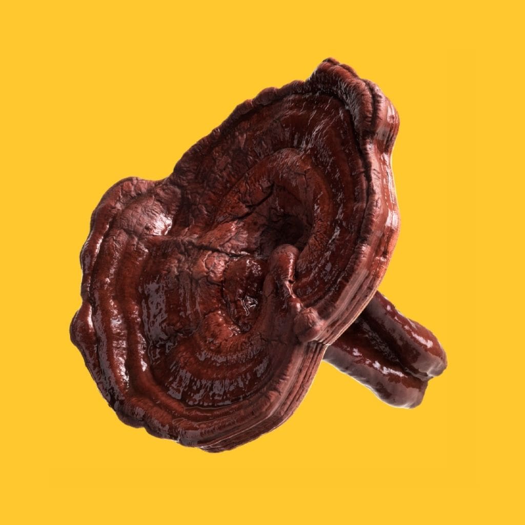 Djusie reishi ihonhoito